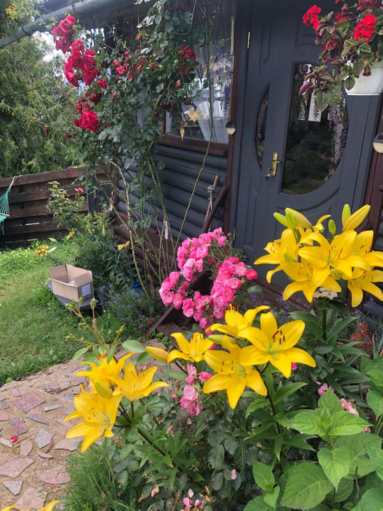 Казковий Дім Та Garden Два Будиночки В Горах З Чаном-Джакузі Slavske Exterior foto