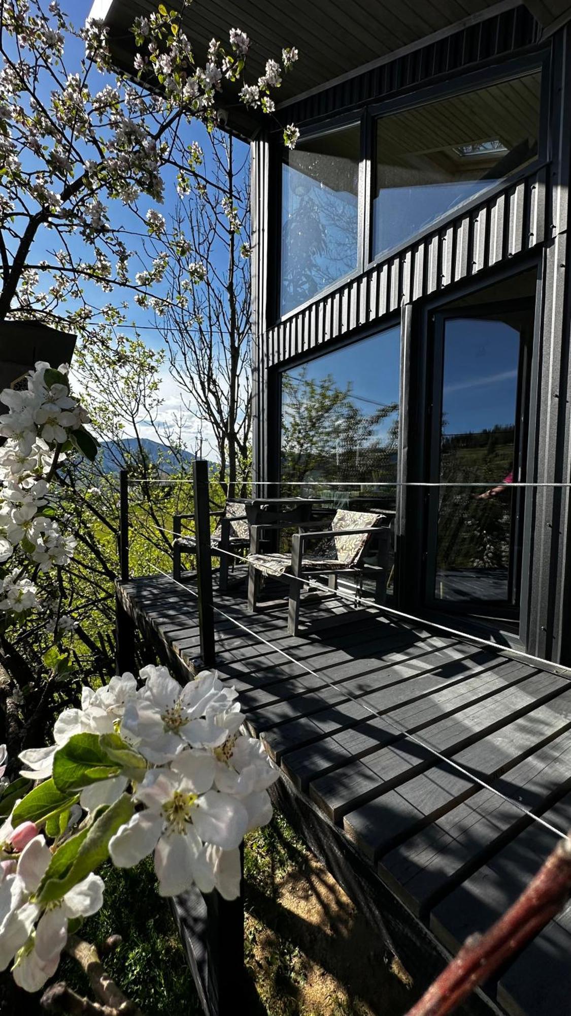 Казковий Дім Та Garden Два Будиночки В Горах З Чаном-Джакузі Slavske Exterior foto