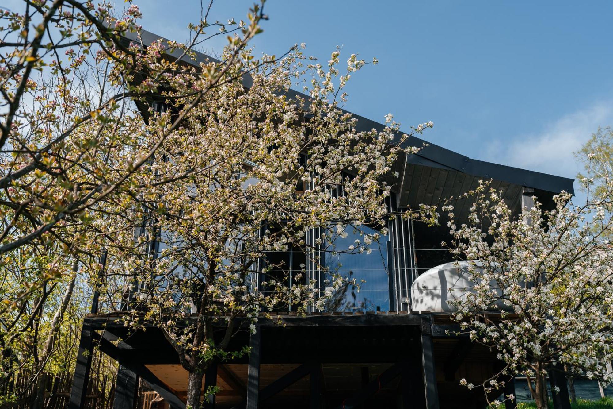 Казковий Дім Та Garden Два Будиночки В Горах З Чаном-Джакузі Slavske Exterior foto